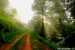Wittschloessel~005