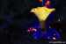 Pilze-on-Fire~002