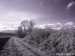 Roedersheim-Feld-IR~003