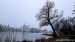 Niederwiesenweiher~003