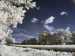 Roedersheim-Feld~IR~001