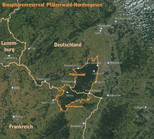 pfalzbilder.net